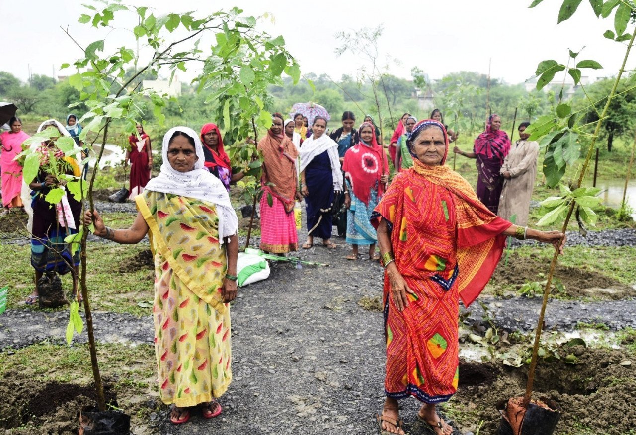 विशेष लेख : आइए इस हरेली धरती माँ का श्रृंगार करें, एक पेड़ मां के नाम लगाएं 1 1722675399 c9010dfc905f91008ea1