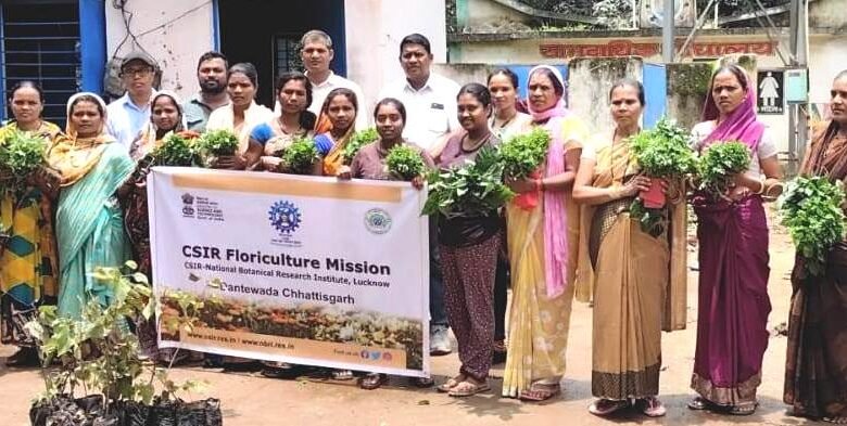 1723459565 adfd2547aacfa1f1763d