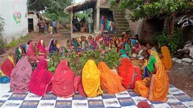 छत्तीसगढ़ में 24 अगस्त को मनाया जाएगा हलषष्ठी पर्व: संतान की दीर्घायु और सुख-समृद्धि के लिए विशेष व्रत की विधि और महत्व 1 हलषष्ठी पर्व