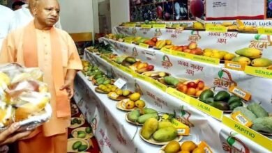 373a4617 5cc2 4a89 b588 62b3d5d98a6c 1