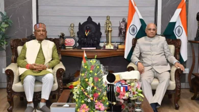 3917040 untitled 3 copy