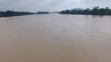 3917251 untitled 10 copy