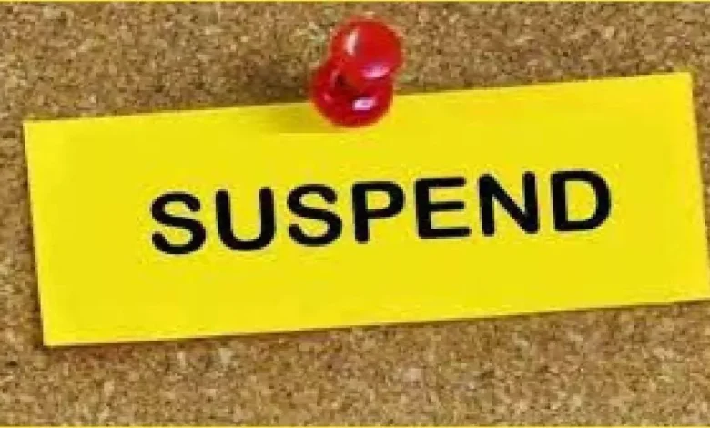 3917667 untitled 15 copy