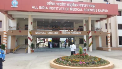 3933071 untitled 19 copy