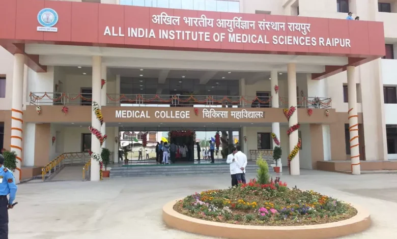 3933071 untitled 19 copy