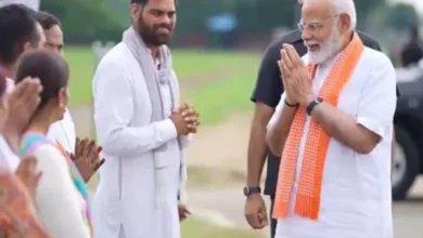 3941872 ani 20240811092045