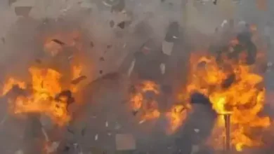 3943733 untitled 34 copy