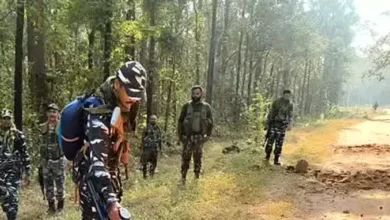 3946571 barkhst copy