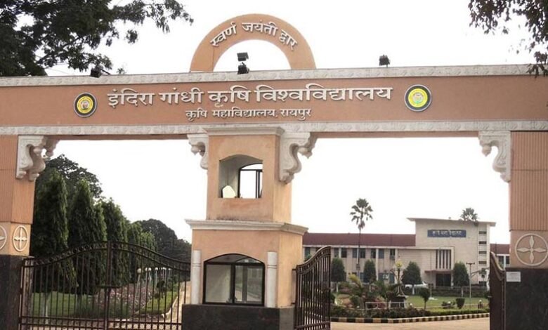 About IGKV 20231018020534404