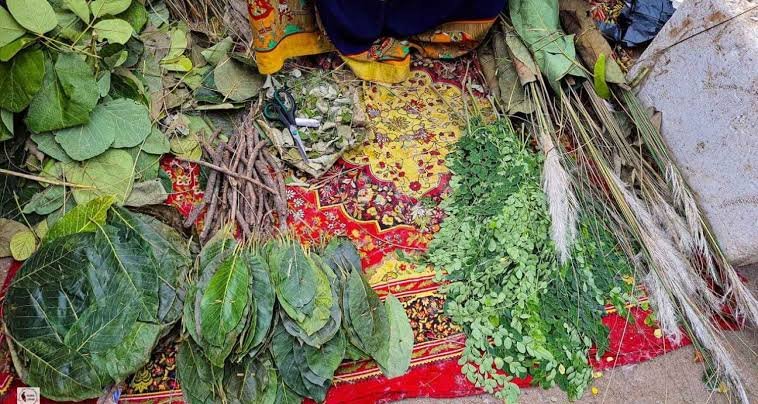 छत्तीसगढ़ में 24 अगस्त को मनाया जाएगा हलषष्ठी पर्व: संतान की दीर्घायु और सुख-समृद्धि के लिए विशेष व्रत की विधि और महत्व 3 हलषष्ठी पर्व