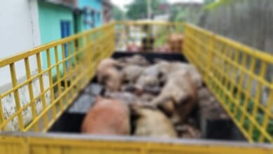 WhatsApp Image 2024 08 02 at 4.43.40 PM 1024x575 1