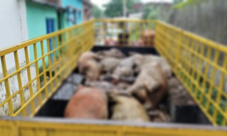 WhatsApp Image 2024 08 02 at 4.43.40 PM 1024x575 1