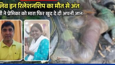 WhatsApp Image 2024 08 12 at 3.29.43 PM