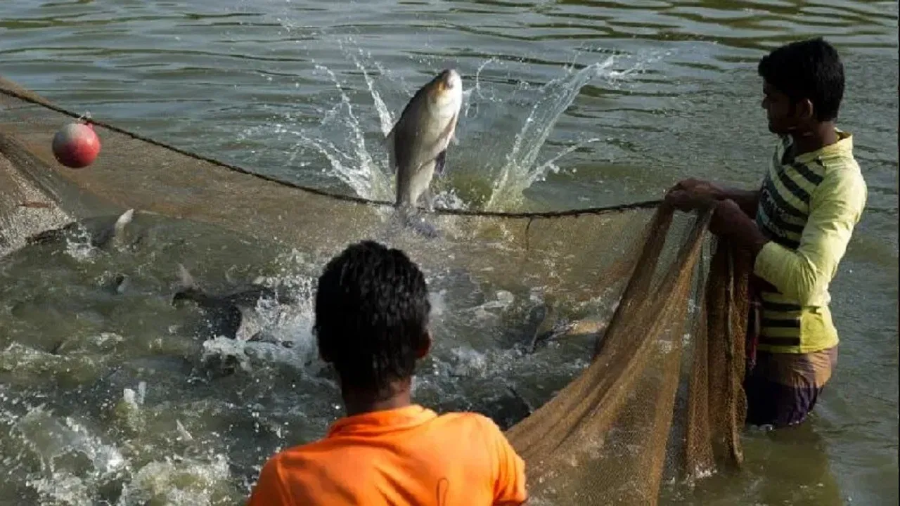मछली पालन हेतु 10 वर्षीय पट्टे के लिए आवेदन 30 अगस्त तक आमंत्रित 1 fish 2