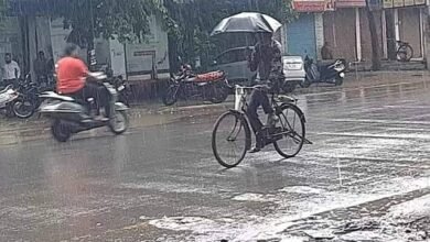 छत्तीसगढ़ में अब तक 581.3 मि.मी. औसत वर्षा दर्ज 3 img 7679 1