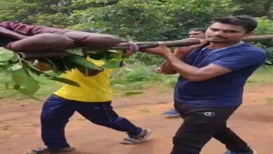 दो भालूओं ग्रामीणों पर हमला कर दिया , ग्रामीण की हालत नाजुक 4 img 7927 1