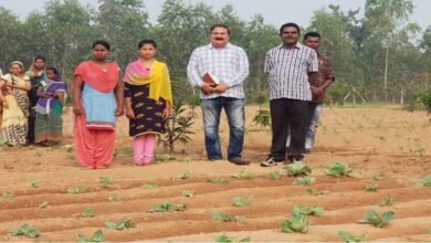 लेख महिलाओं की आर्थिक समृद्धि की नई इबारत लिखता छत्तीसगढ़ वन विभाग 1 लेख महिलाओं की आर्थिक समृद्धि की नई इबारत लिखता छत्तीसगढ़ वन विभाग
