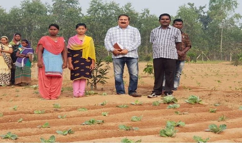 लेख महिलाओं की आर्थिक समृद्धि की नई इबारत लिखता छत्तीसगढ़ वन विभाग