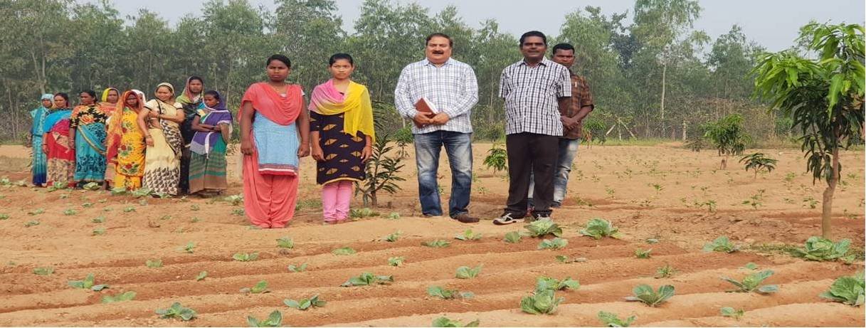 लेख महिलाओं की आर्थिक समृद्धि की नई इबारत लिखता छत्तीसगढ़ वन विभाग