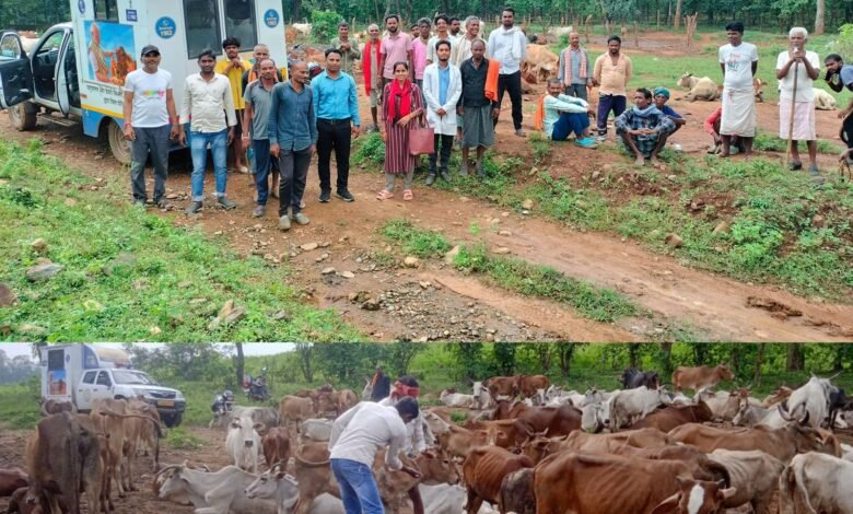 उपमुख्यमंत्री विजय शर्मा के निर्देश पर ग्राम मुडघुसरी में पशु चिकित्सा शिविर का का किया गया आयोजन