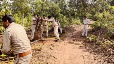 वन परिक्षेत्र भानपुरी के अतिक्रमण को अभियान चलाकर किया जा रहा वन भूमि को मुक्त 1 वन परिक्षेत्र भानपुरी के अतिक्रमण को अभियान चलाकर किया जा रहा वन भूमि को मुक्त