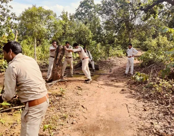 वन परिक्षेत्र भानपुरी के अतिक्रमण को अभियान चलाकर किया जा रहा वन भूमि को मुक्त