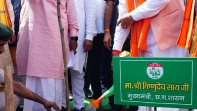 मुख्यमंत्री विष्णु देव साय ने एक पेड़ मां के नाम अभियान के अंतर्गत लगाया केसर आम का पौधा