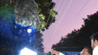 मुख्यमंत्री श्री साय ने पीकू द वाटर गार्जियन मॉडल का किया लोकार्पण, जल संरक्षण की दिशा में लोगों को जागरूक करने की नवाचारी मॉडल