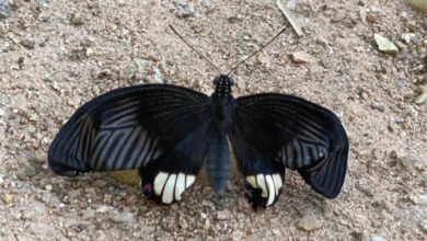 1728980084 a504eee78d7273d8412c