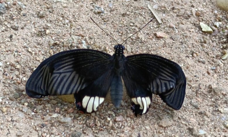 1728980084 a504eee78d7273d8412c