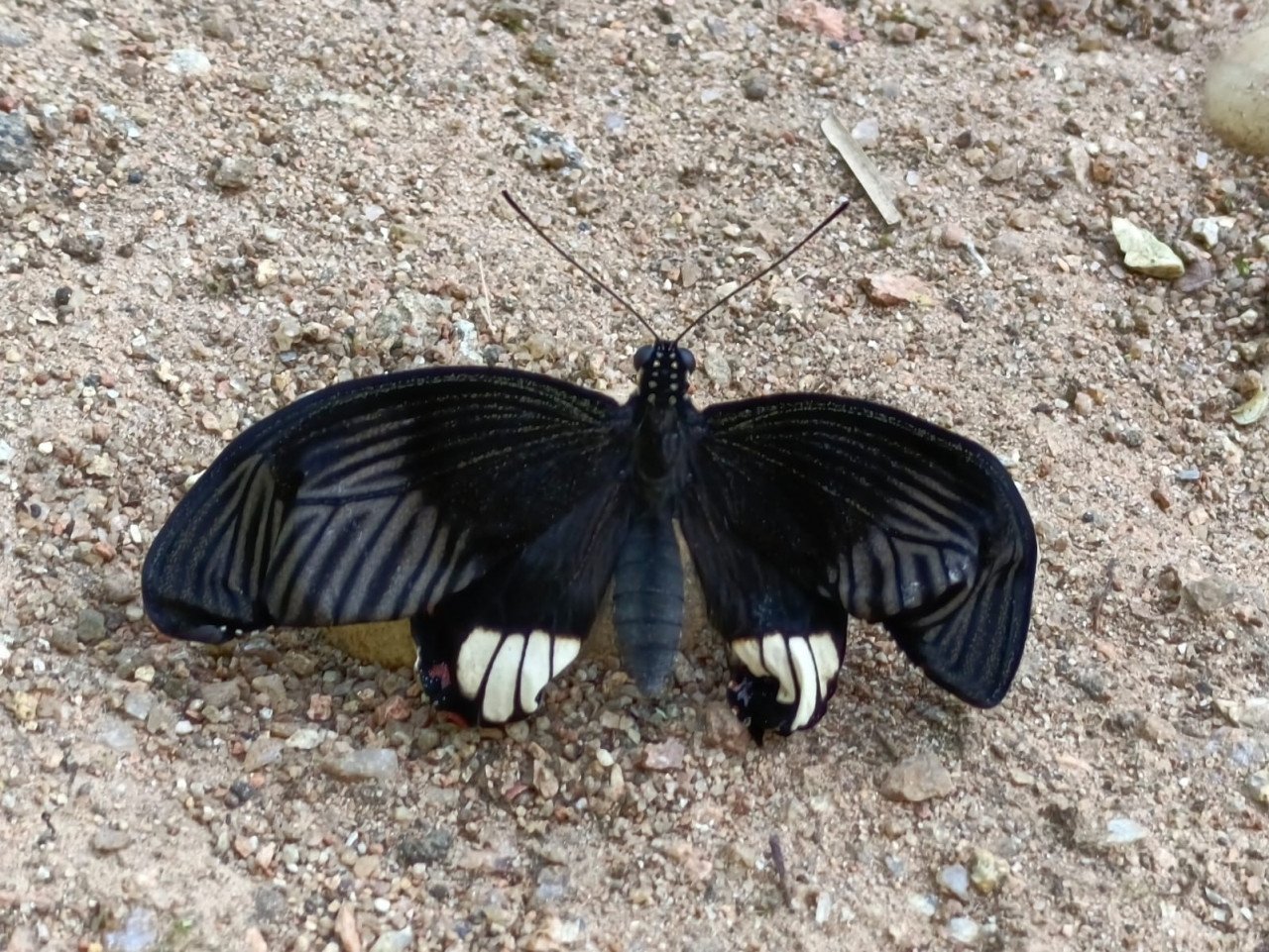 1728980084 a504eee78d7273d8412c