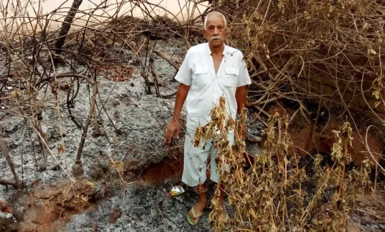 छत्तीसगढ़: भू-माफिया का आतंक, बुजुर्ग की बाड़ी में लगाई आग, पुलिस कार्रवाई पर उठे सवाल