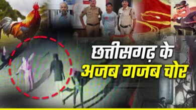 छत्तीसगढ़ का अजीबोगरीब चोर: महिलाओं की सुखाई साड़ी पहनकर करता था डांस! पढ़ें पूरी खबर