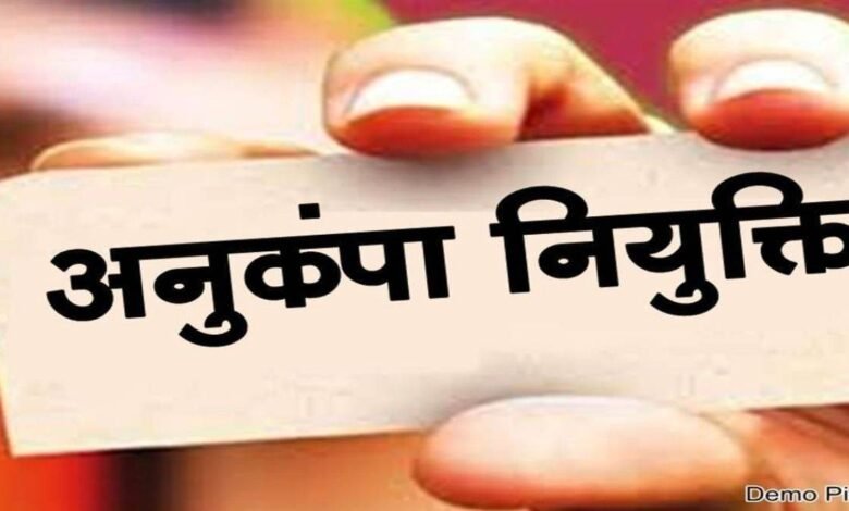 पटवारी के पद पर चार आवेदकों को मिली अनुकम्पा नियुक्ति