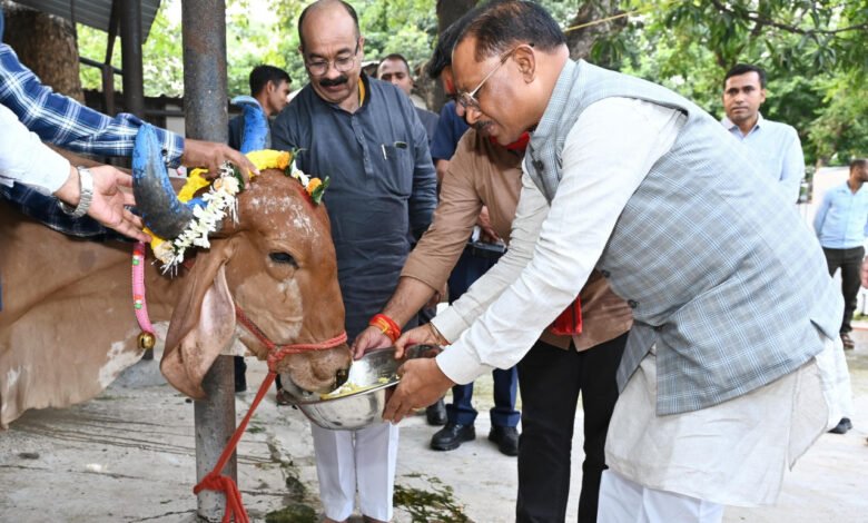 मुख्यमंत्री विष्णु देव साय ने गोवर्धन पूजा के अवसर पर की गौ वंश की पूजा-अर्चना कर खिलाया गुड़ और खिचड़ी