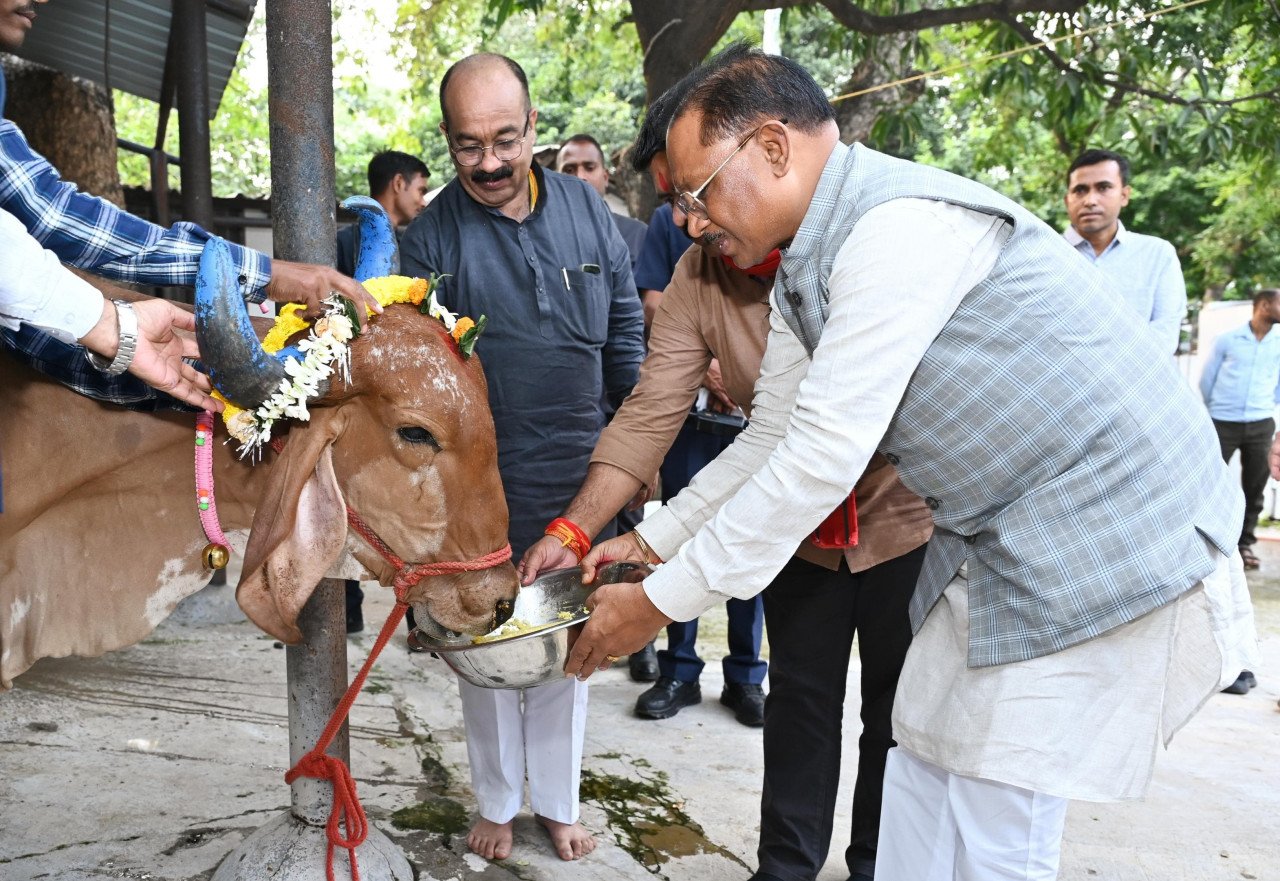 मुख्यमंत्री विष्णु देव साय ने गोवर्धन पूजा के अवसर पर की गौ वंश की पूजा-अर्चना कर खिलाया गुड़ और खिचड़ी 1 मुख्यमंत्री विष्णु देव साय ने गोवर्धन पूजा के अवसर पर की गौ वंश की पूजा-अर्चना कर खिलाया गुड़ और खिचड़ी