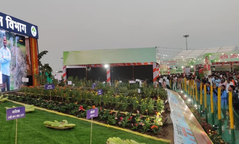 छत्तीसगढ़ राज्योत्सव में संचालनालय उद्यानिकी द्वारा तैयार बागवानी का आकर्षक जीवंत प्रदर्शन