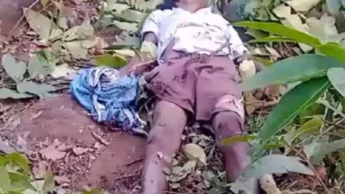 फसल रखवानी के दौरान हाथी का हमला, ग्रामीण की मौत