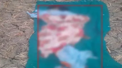 सावधानी हटी, दुर्घटना घटी: थ्रेसर मशीन ने छीन ली महिला किसान की जान!