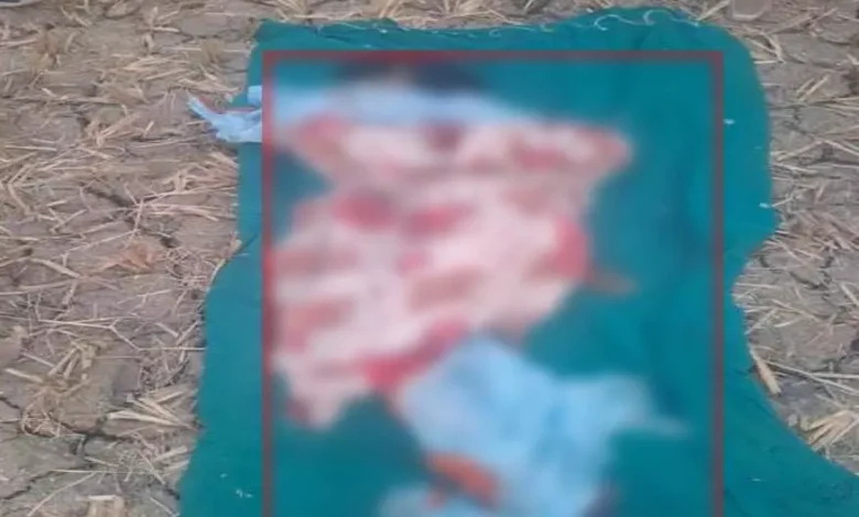 सावधानी हटी, दुर्घटना घटी: थ्रेसर मशीन ने छीन ली महिला किसान की जान!