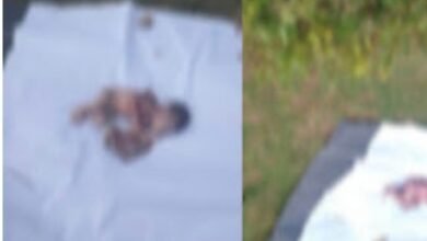 मोहगाँव में नवजात कन्या का शव मिलने से सनसनी; समाज में बेटी-बेटे के भेदभाव पर उठे गंभीर सवाल