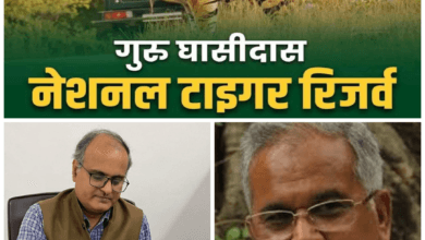 गुरु घासीदास टाइगर रिजर्व पर बड़ा खुलासा: पंकज कुमार झा ने पूर्ववर्ती भूपेश सरकार पर लगाए गंभीर आरोप