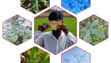 छत्तीसगढ़ में कृषि और पशुपालन को नई दिशा देने वाला उपकरण फोल्डस्कोप 7 छत्तीसगढ़ में कृषि और पशुपालन को नई दिशा देने वाला उपकरण फोल्डस्कोप