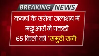 कवर्धा के सरोदा जलाशय में मछुआरों ने पकड़ी 65 किलो की 'समुद्री रानी' 1 kawardha