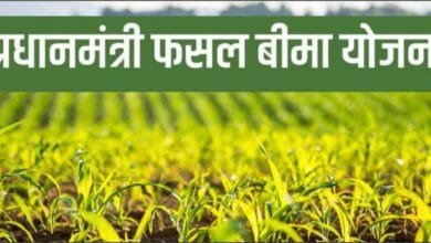 छत्तीसगढ़: फसल बीमा योजना के 9 साल पूरे, 21.95 करोड़ किसानों को मिला लाभ 1 छत्तीसगढ़: फसल बीमा योजना के 9 साल पूरे, 21.95 करोड़ किसानों को मिला लाभ