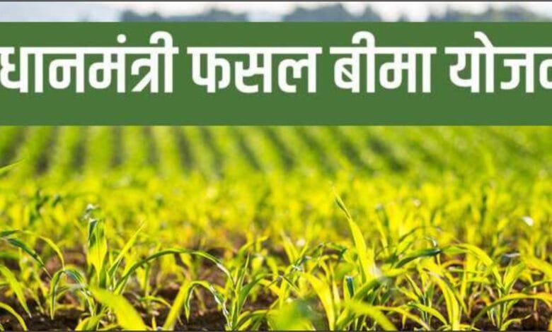 छत्तीसगढ़: फसल बीमा योजना के 9 साल पूरे, 21.95 करोड़ किसानों को मिला लाभ 2 छत्तीसगढ़: फसल बीमा योजना के 9 साल पूरे, 21.95 करोड़ किसानों को मिला लाभ