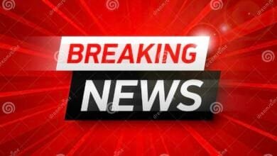 ccd8a86a 74e2 4ec4 8246 6d7beac261b3 1