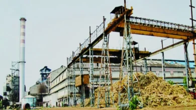 होली से पहले गन्ना किसानों को बड़ी सौगात, भोरमदेव शक्कर कारखाना ने किया 5.22 करोड़ रुपये का भुगतान