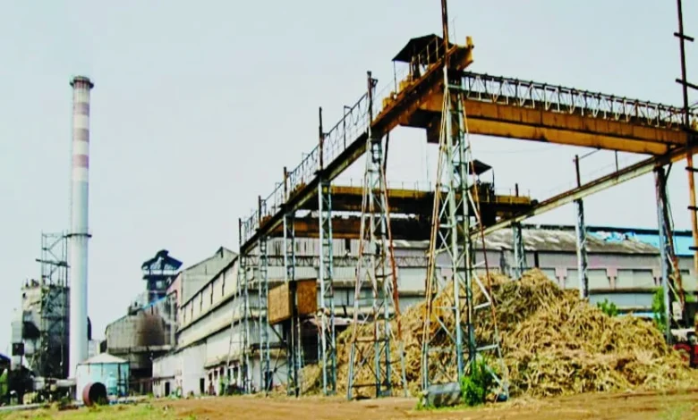 होली से पहले गन्ना किसानों को बड़ी सौगात, भोरमदेव शक्कर कारखाना ने किया 5.22 करोड़ रुपये का भुगतान