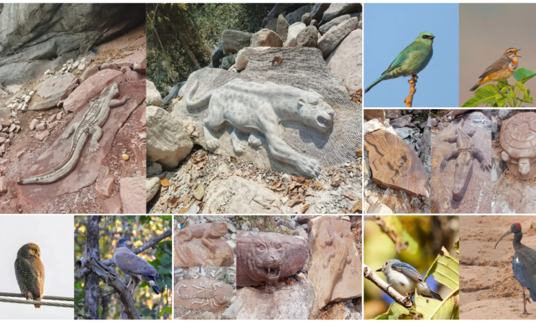 प्रकृति और कला का अद्भुत संगम: चिंगरा पगार में पत्थरों पर उकेरी गई जंगल की दुनिया, कोरिया में दुर्लभ पक्षियों के बसेरे की झलक 2 प्रकृति और कला का अद्भुत संगम: चिंगरा पगार में पत्थरों पर उकेरी गई जंगल की दुनिया, कोरिया में दुर्लभ पक्षियों के बसेरे की झलक